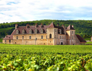 A Bordeaux la vendemmia più scarsa dal 1991