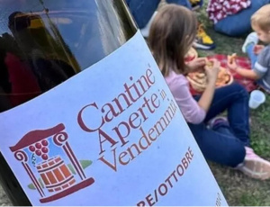 Cantine Aperte in Vendemmia, eventi in tutta la penisola 