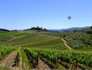 Crea, fotografia del mercato dei terreni agricoli