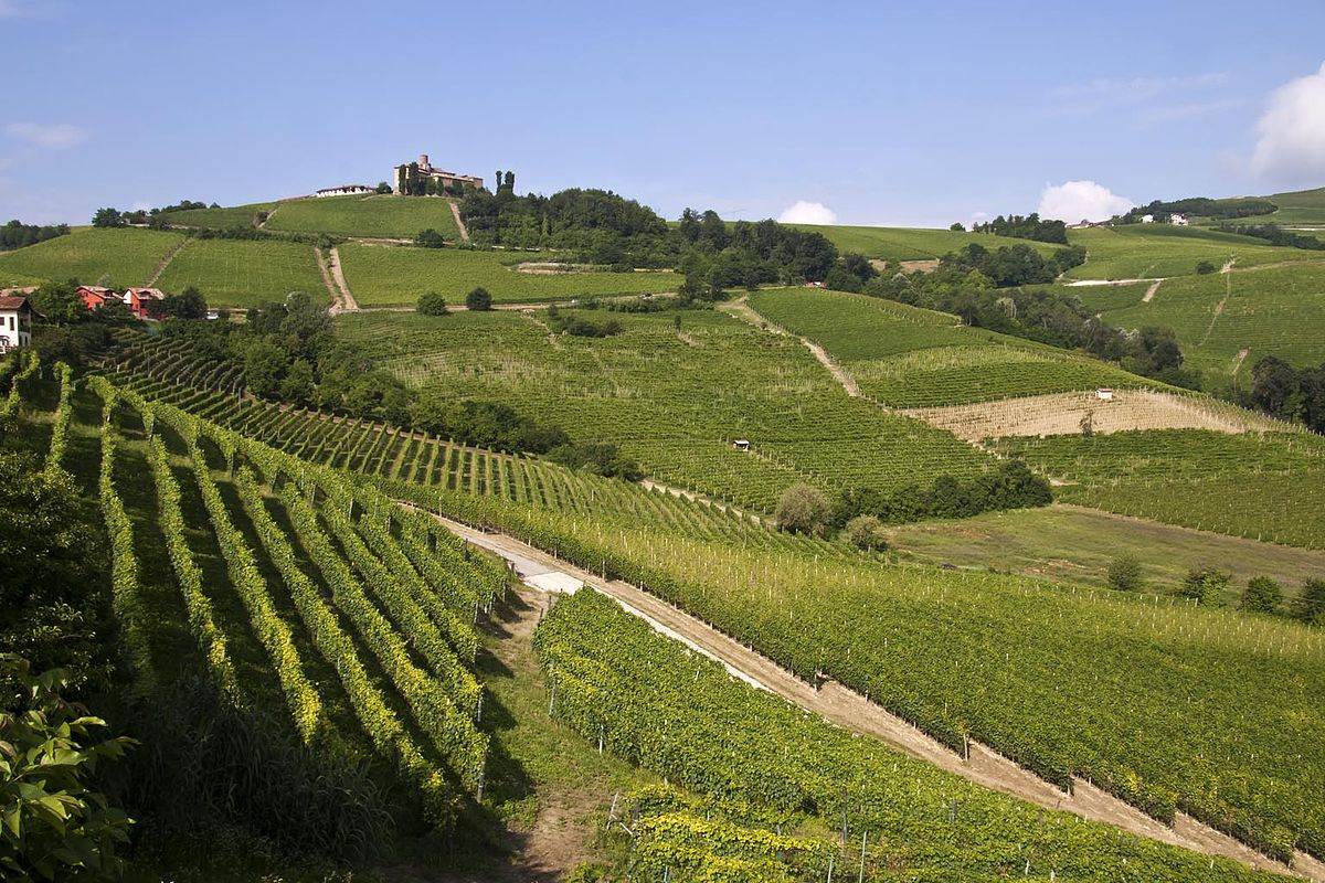 Grandi Langhe Doc e Docg