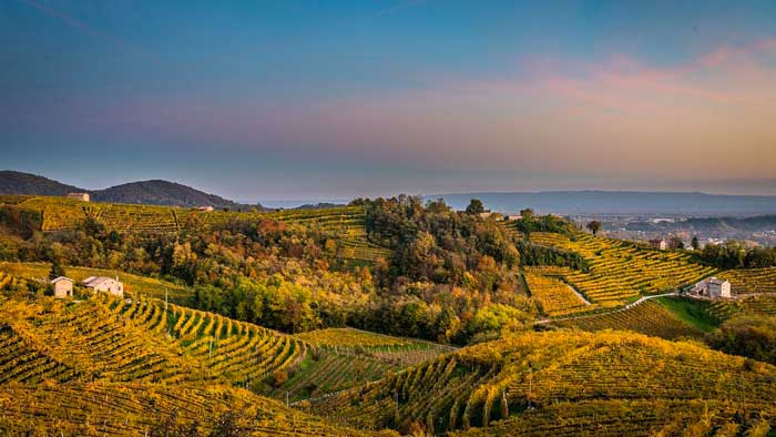 Le Colline del Prosecco di Conegliano e Valdobbiadene: prospettive per il territorio