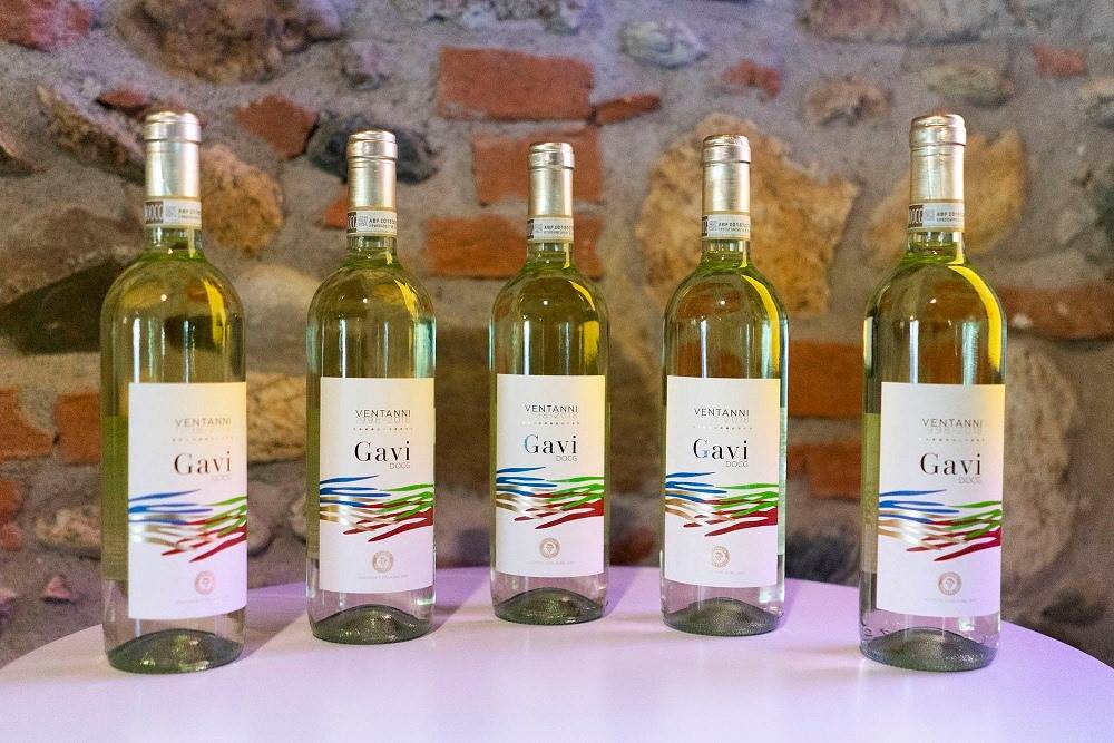 Di Gavi in Gavi 2018