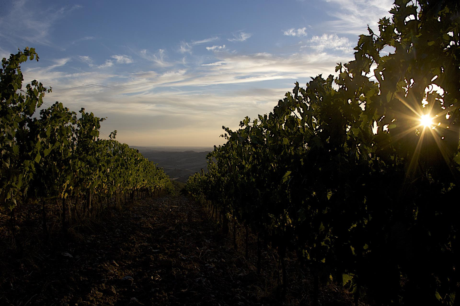 L'Altra Toscana