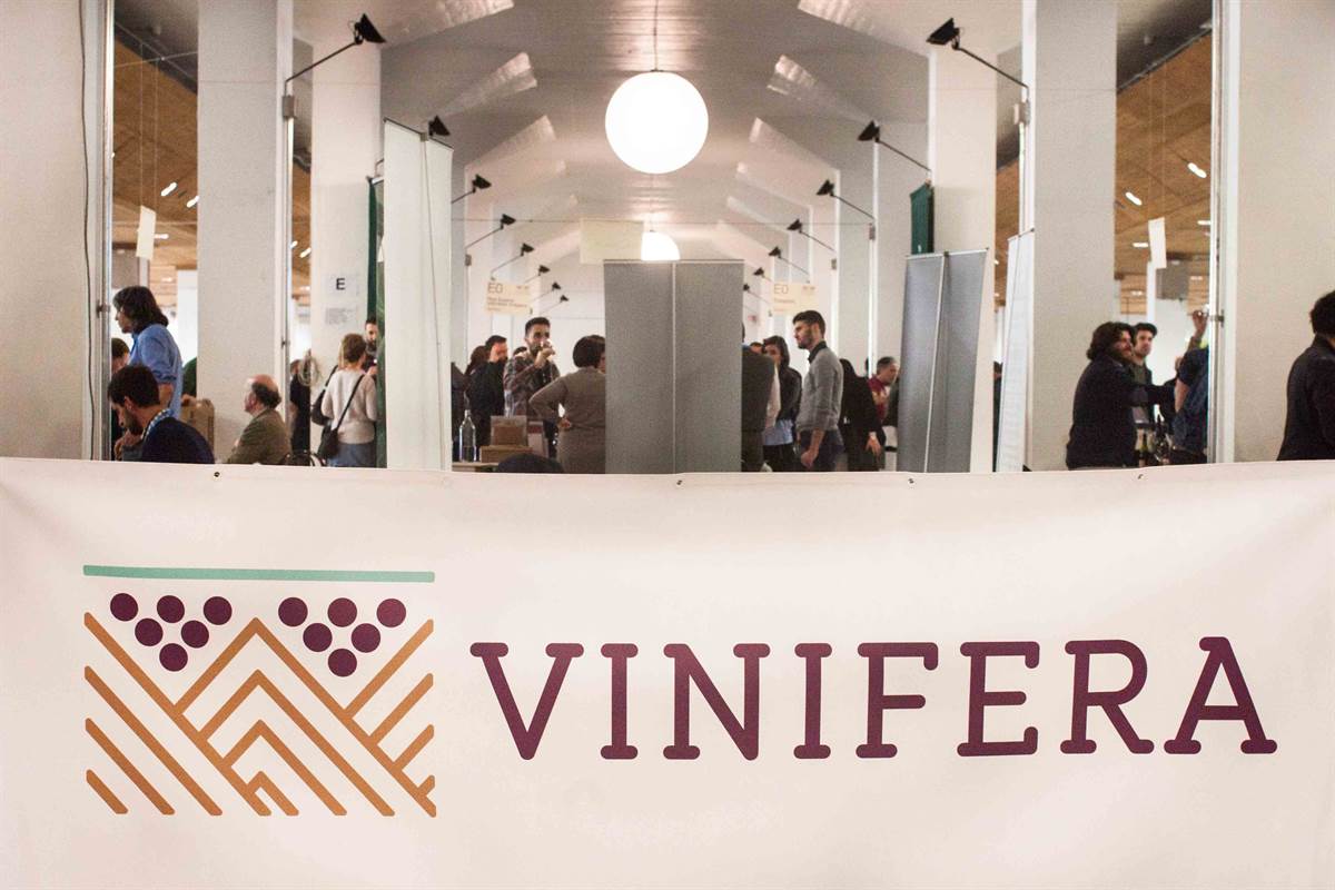 Vinifera 2018