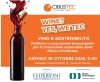 Vino e sostenibilità: politiche e innovazioni tecnologiche per la transizione sostenibile della filiera vitivinicola