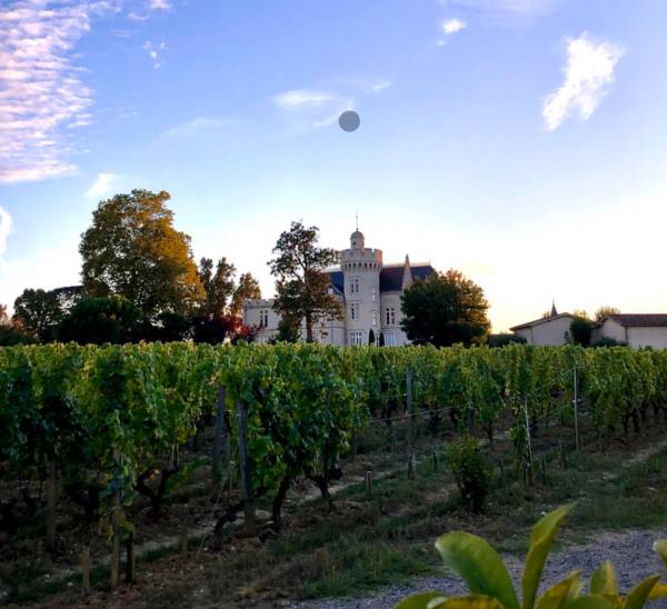 Debuttano gli NFT sui grandi vini en primeur di Bordeaux
