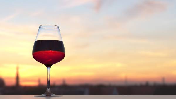 Scoperto in Spagna il vino in forma liquida più antico (in un urna di 2000 anni fa)