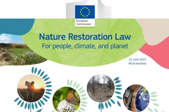 Via libera Ue alla Nature Restoration Law, il regolamento sul ripristino delle aree naturali