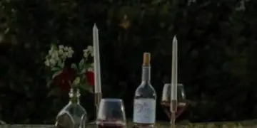 Alla scoperta dei vini e degli spiriti sulle colline del Monferrato