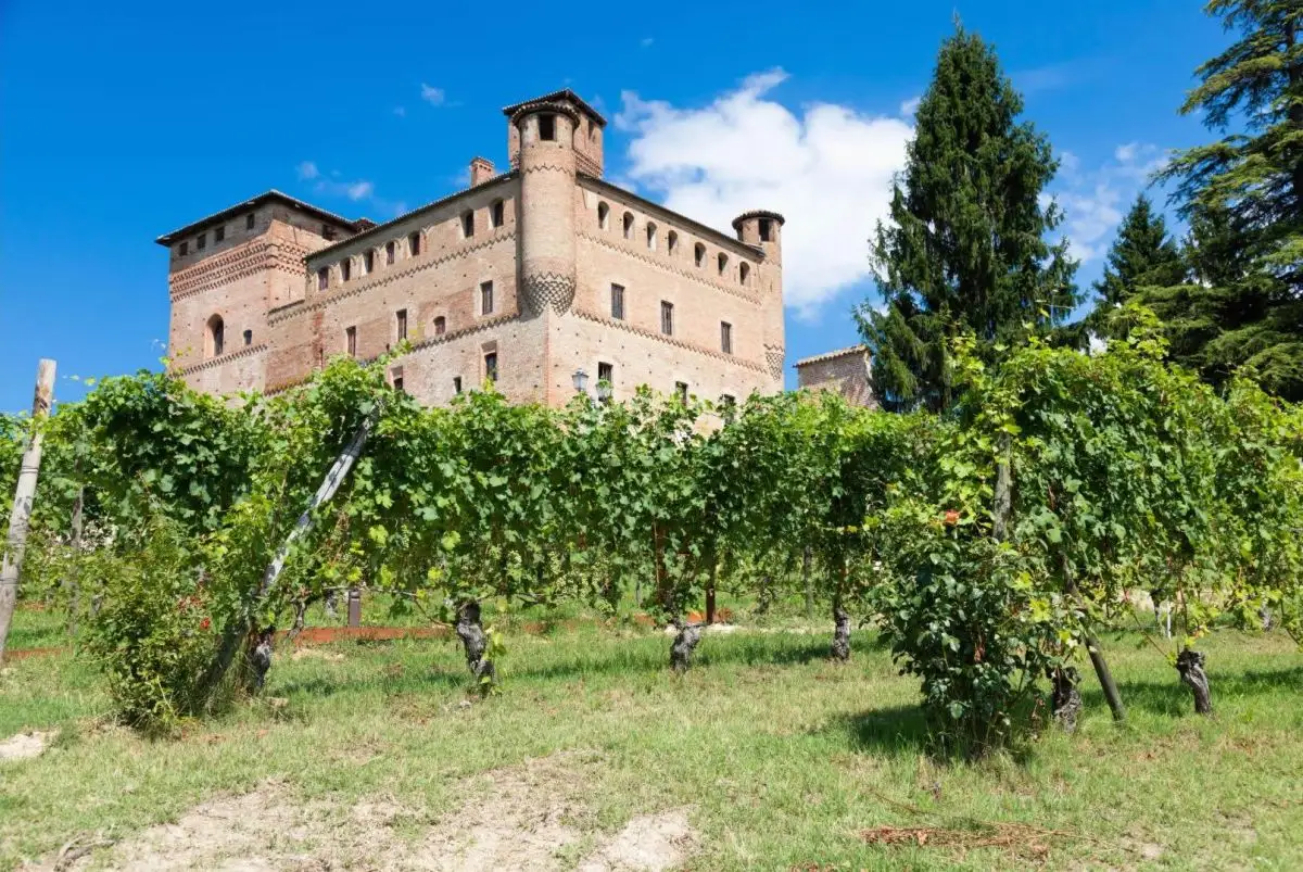 'Barolo en primeur', il 25 torna l'asta benefica internazionale